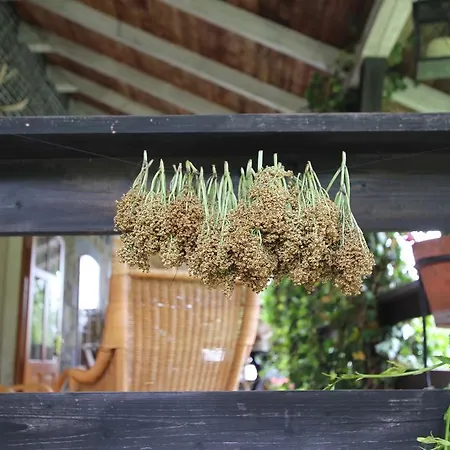 Borszowka Dom Nad Potokiem - Szklarska Poręba