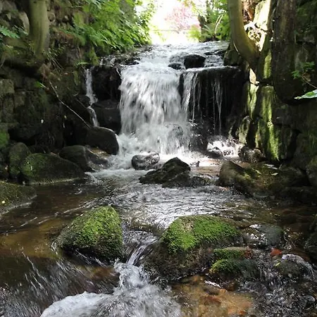 B&B Borszowka Dom Nad Potokiem - 3*