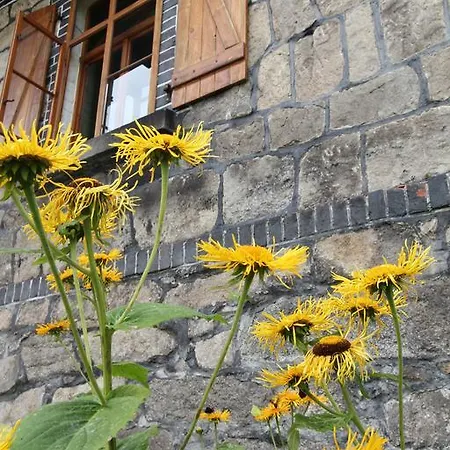 Borszowka Dom Nad Potokiem - Bed & Breakfast 3*