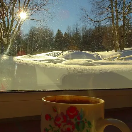 Borszowka Dom Nad Potokiem - B&B 스클라르스카포렘바