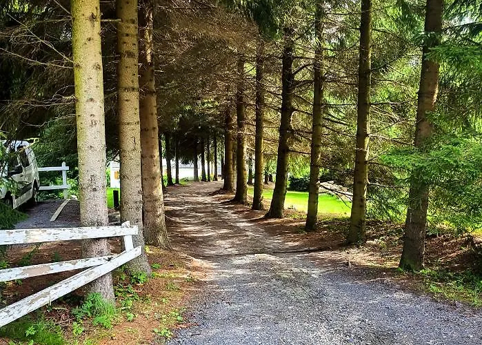 Borszowka Dom Nad Potokiem -