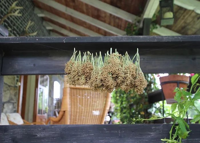 Borszowka Dom Nad Potokiem - Szklarska Poręba