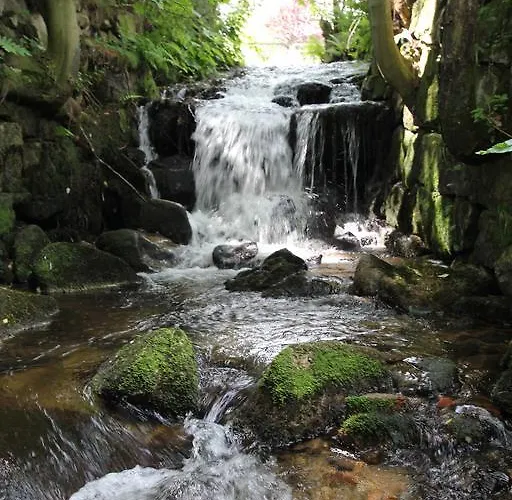 Bed & Breakfast Borszowka Dom Nad Potokiem - 3*