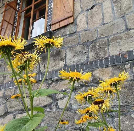 Borszowka Dom Nad Potokiem - Bed & Breakfast 3*